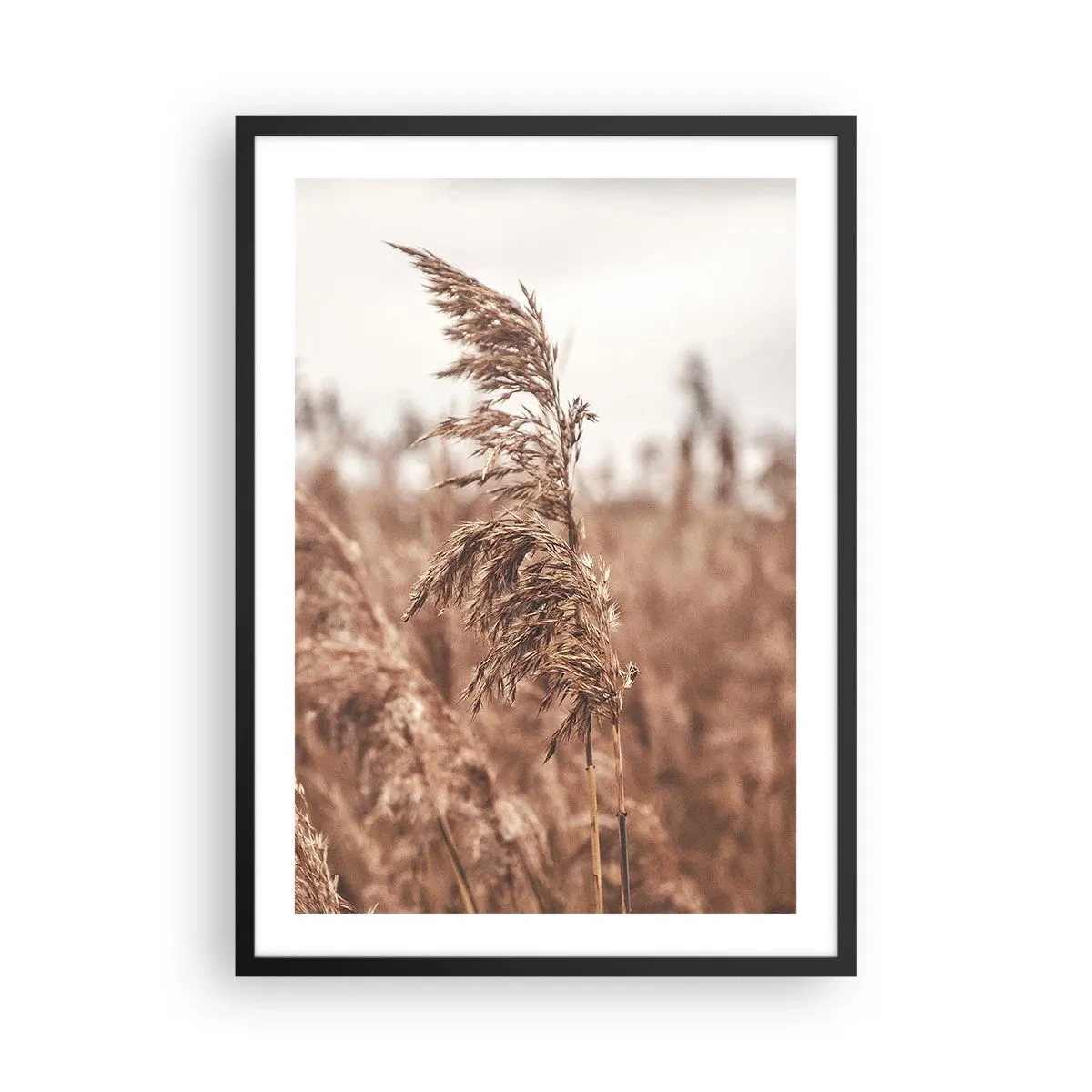 Affiche dans un cadre noir - Poster - Herbe sur un paysage brumeux aux couleurs naturelles - 50x70cm - C'est déjà l'automne dans les champs - Décoration murale moderne pour le salon et la chambre ARTTOR