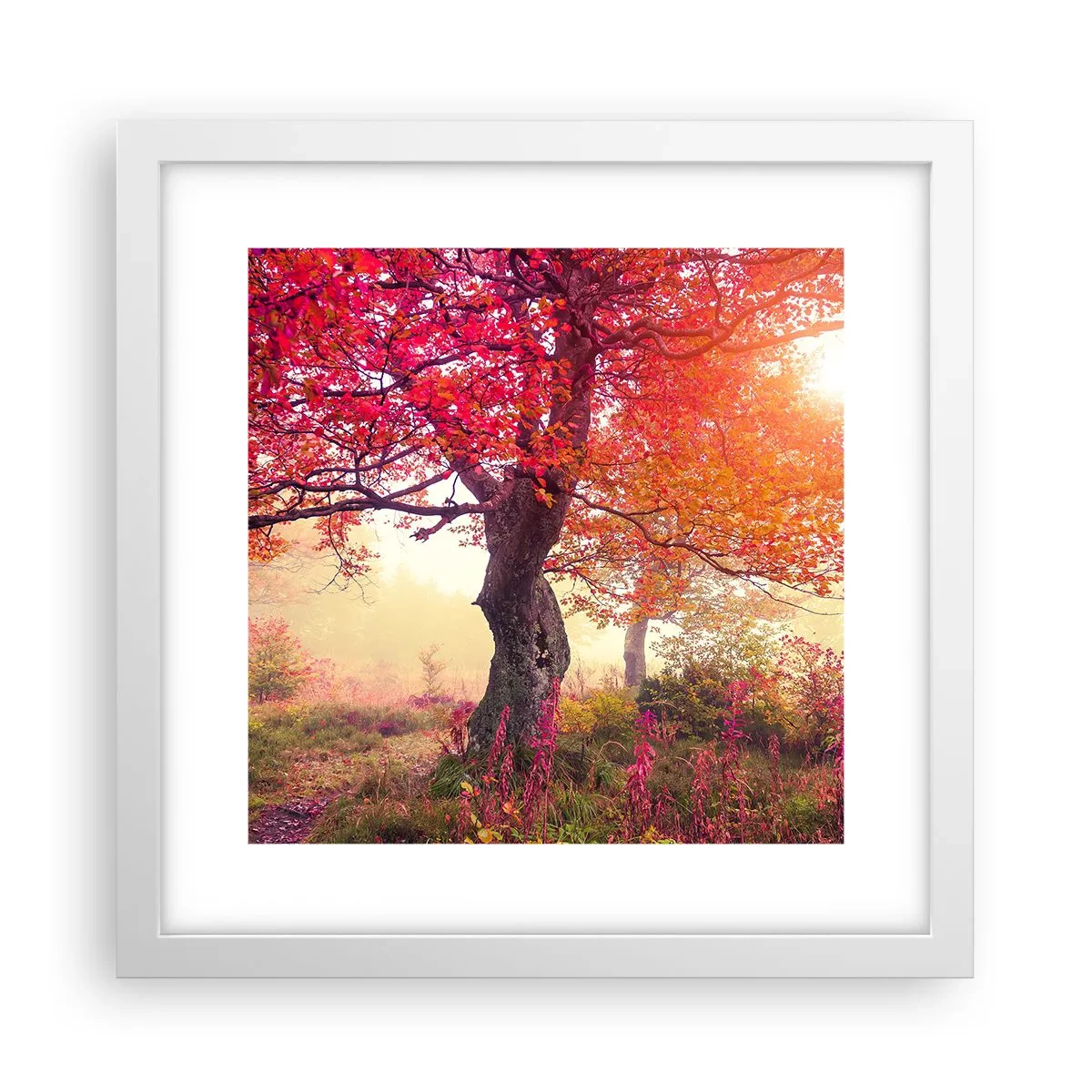 Affiche dans un cadre blanc - Poster - Frénésie de floraison - 30x30 cm