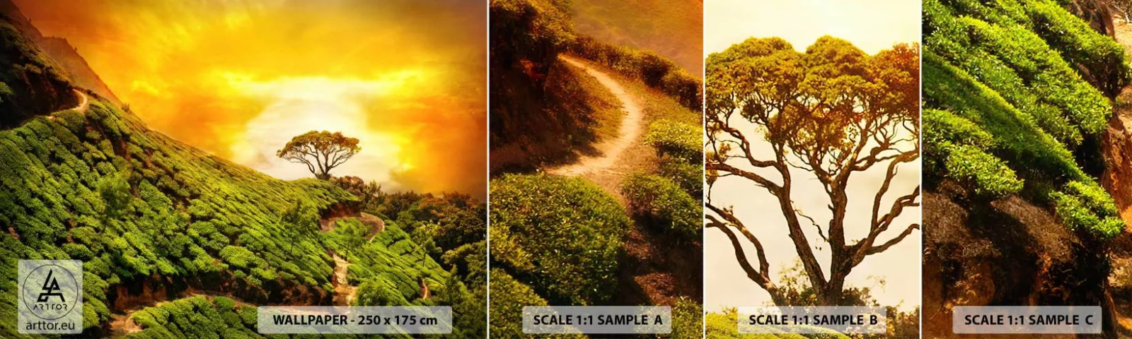 Échantillon de Papier Peint Autocollant Deluxe Sticker - Un chemin sinueux, une pente verte - Paysage, Plantation de thé, Inde - 100x30 cm