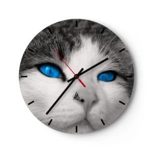Horloge murale - Pendule murale - Gros plan du visage d'un chat aux yeux bleus intenses - 30x30cm - Yeux bleus inhabituels - Décoration murale moderne pour le salon, la cuisine et la chambre ARTTOR