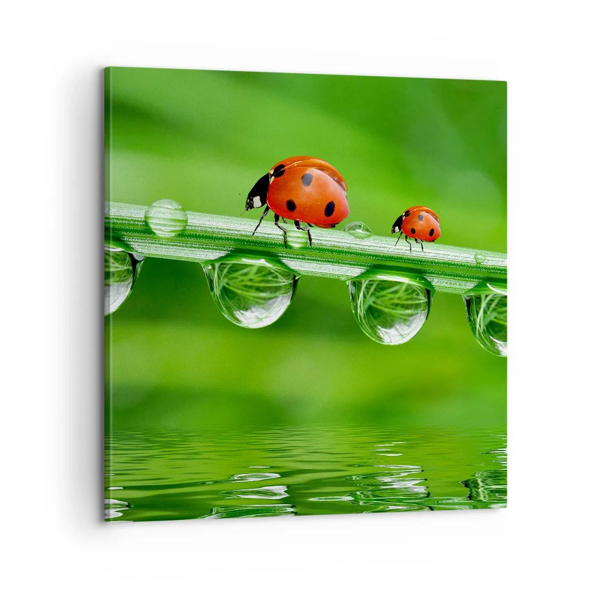 Impression sur toile - Image sur toile - Sur la route tout l'été - 60x60 cm