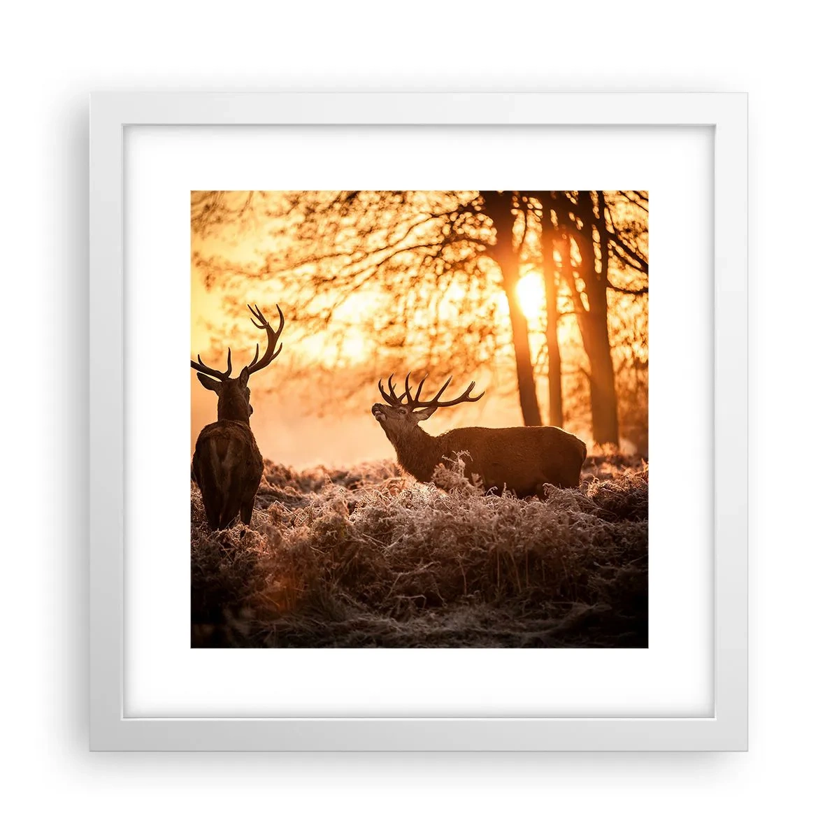 Affiche dans un cadre blanc - Poster - Le rêve d'un chasseur - 30x30 cm