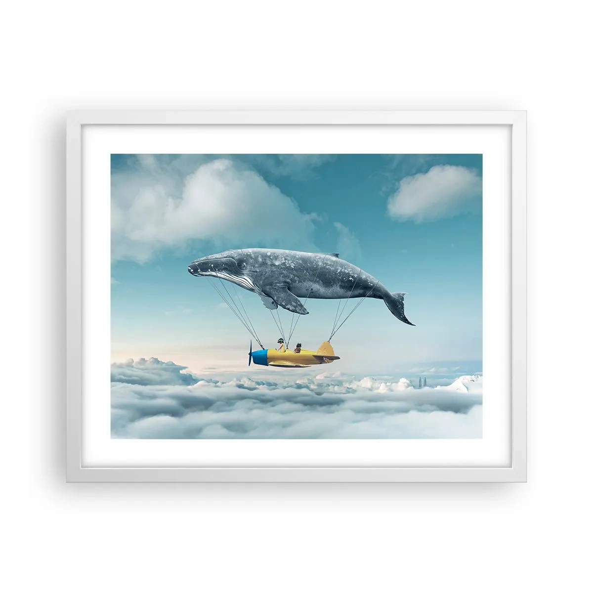 Affiche dans un cadre blanc - Poster - Pourquoi pas? - 50x40 cm