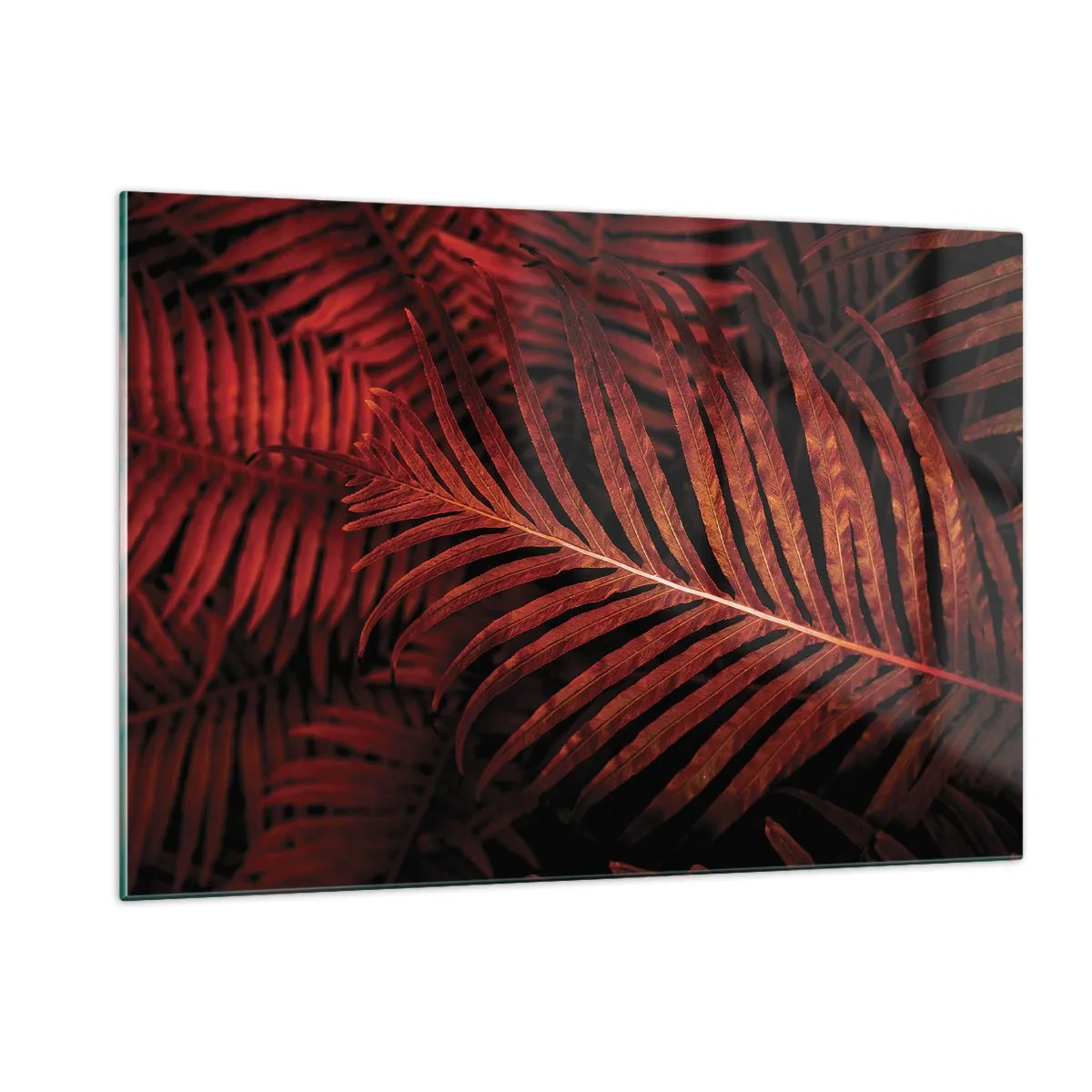 Impression sur verre - Image sur verre - Feuilles rouges d'une plante tropicale sur fond sombre - 120x80cm - Chaleur de la vie - Décoration murale moderne pour le salon et la chambre ARTTOR