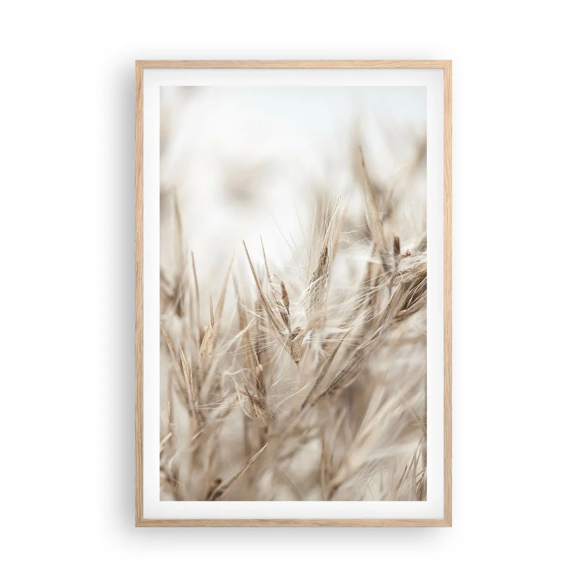 Affiche dans un chêne clair - Poster - Prairie et vent - 61x91 cm