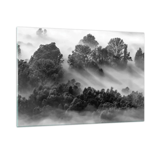Impression sur verre - Image sur verre - Forêt brumeuse au soleil en noir et blanc - 120x80cm - Sortir de son sommeil - Décoration murale moderne pour le salon et la chambre ARTTOR