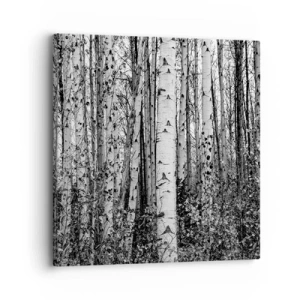 Impression sur toile - Image sur toile - Enchevêtrement de bouleau - 30x30 cm