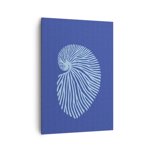 Impression sur toile - Image sur toile - La naissance de la coquille - 70x100 cm