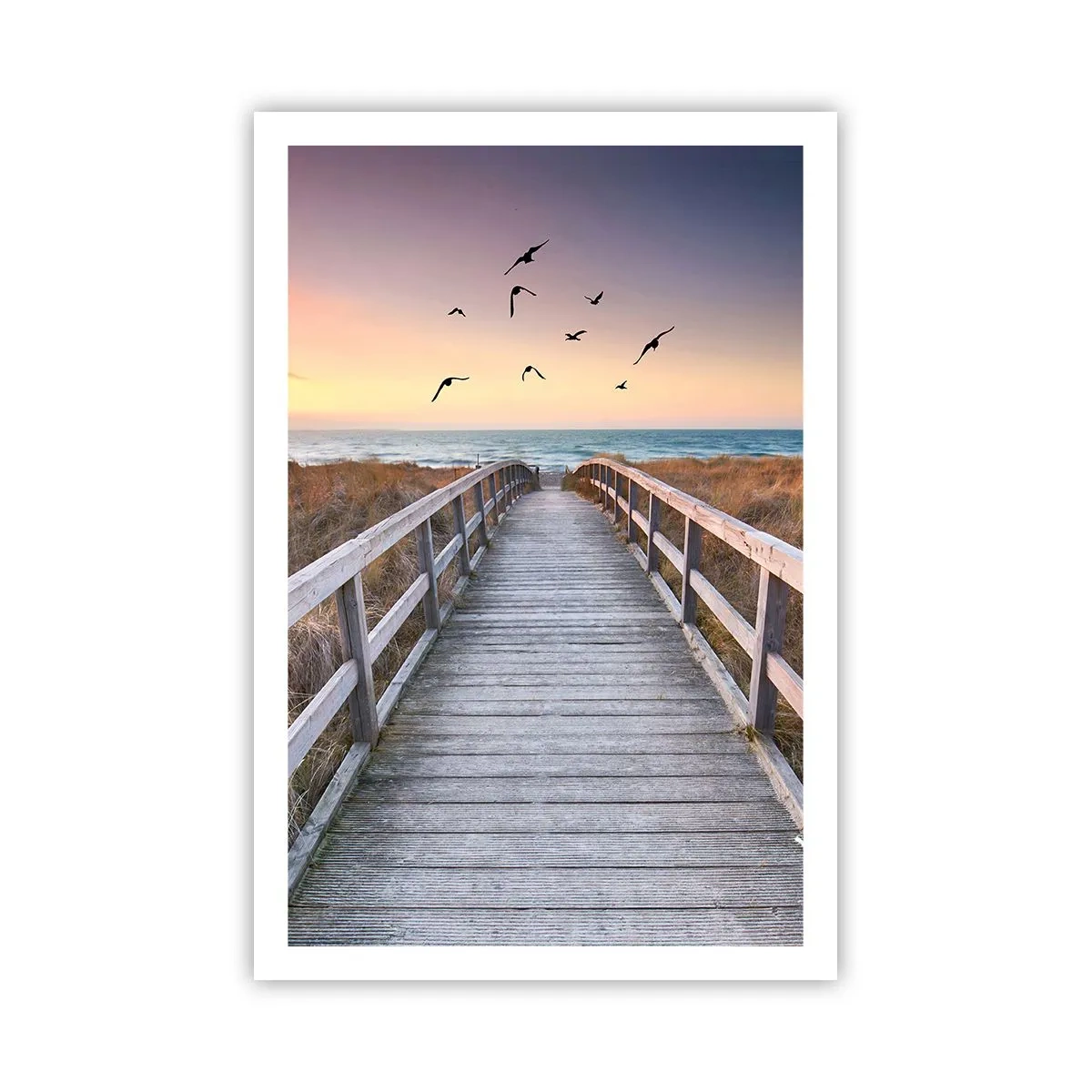 Affiche - Poster - Envol des espaces - 61x91 cm