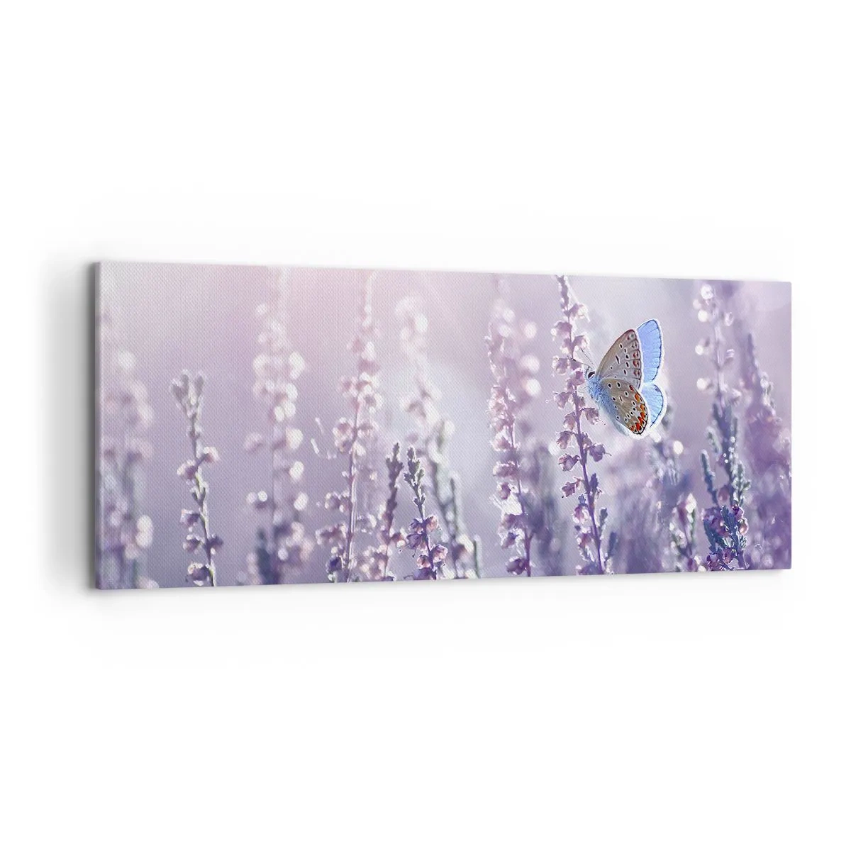 Impression sur toile - Image sur toile - Baiser de papillon - 100x40 cm