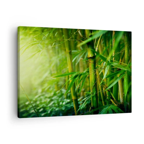 Impression sur toile - Image sur toile - Forêt de bambous verts dans une lumière douce - 70x50cm - Apprenez à connaître le vert lui-même - Décoration murale moderne pour le salon et la chambre ARTTOR