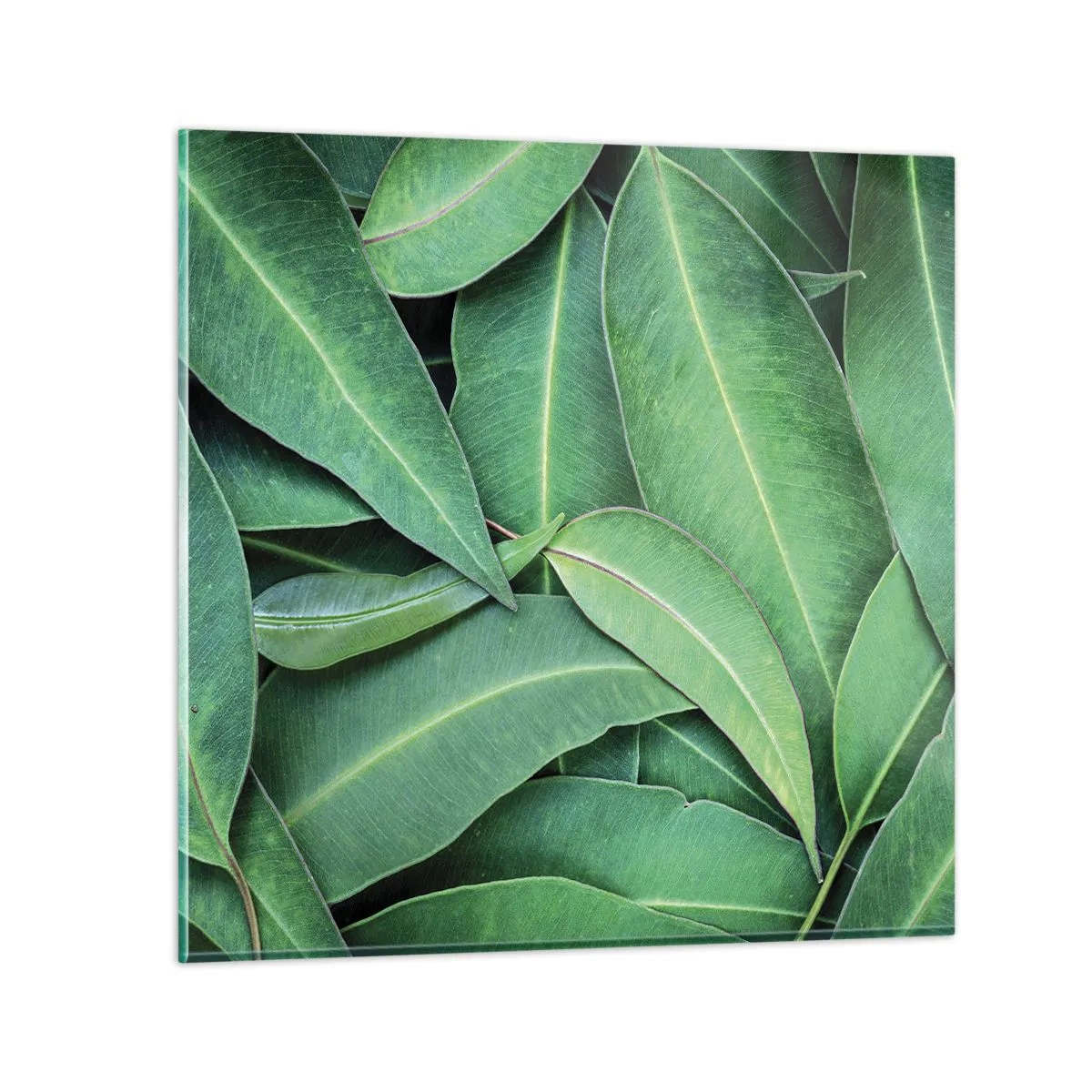 Impression sur verre - Image sur verre - Juteux et frais - 30x30 cm