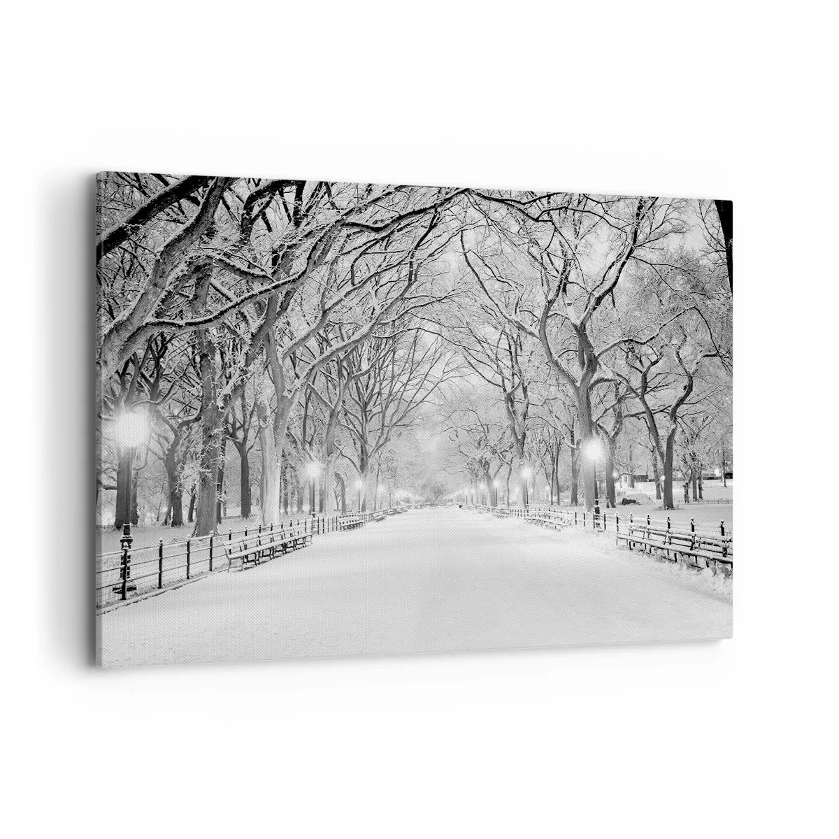 Impression sur toile - Image sur toile - Une allée d'hiver avec des arbres enneigés en monochrome - 120x80cm - Les quatres saisons – l’hiver - Décoration murale moderne pour le salon et la chambre ARTTOR