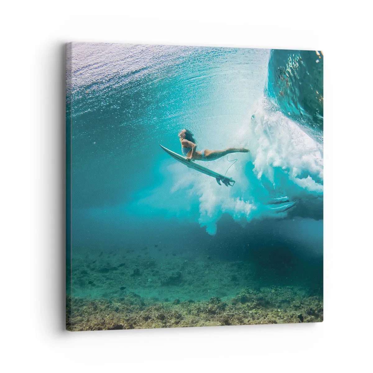 Impression sur toile - Image sur toile - Monde sous marin - 30x30 cm