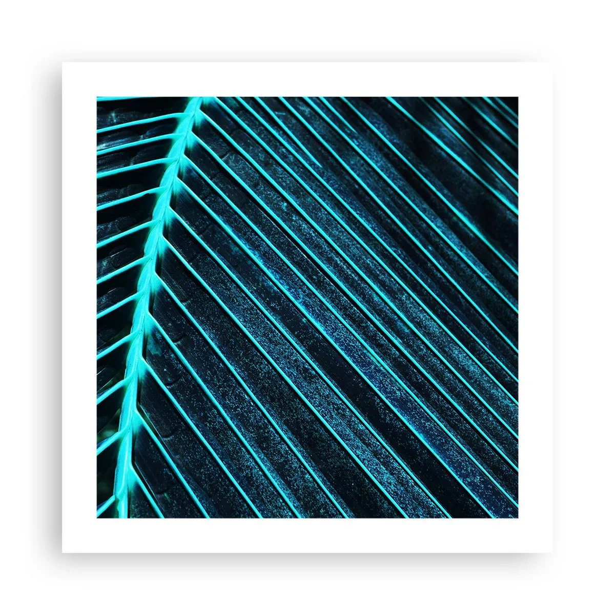 Affiche - Poster - Texture verte - 50x50 cm