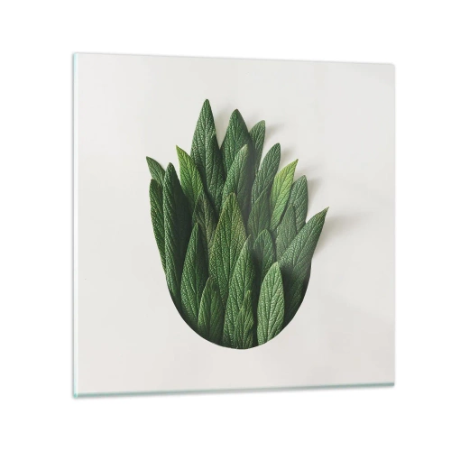 Impression sur verre - Image sur verre - Curiosité sans retenue - 50x50 cm