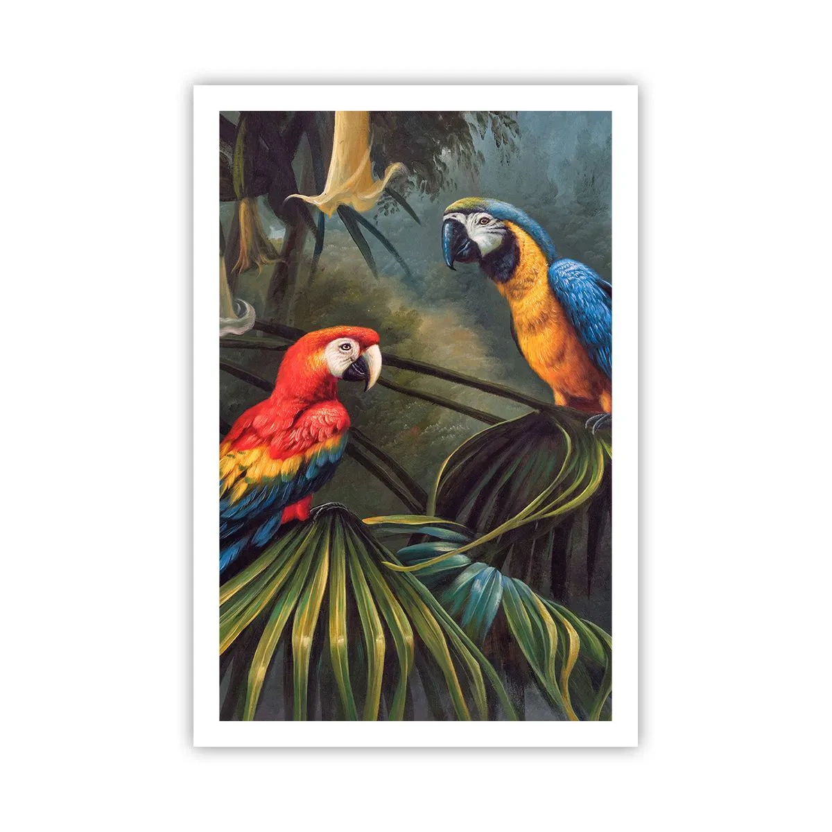 Affiche - Poster - Romantisme dans les tropiques - 61x91 cm