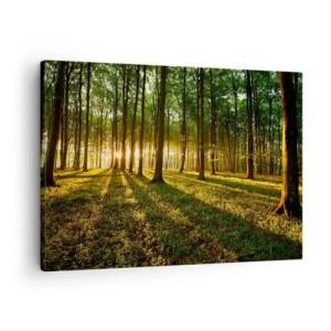 Impression sur toile - Image sur toile - Le soleil couchant dans la forêt de feuillus - 70x50cm - Toutes les photographies de printemps - Décoration murale moderne pour le salon et la chambre ARTTOR