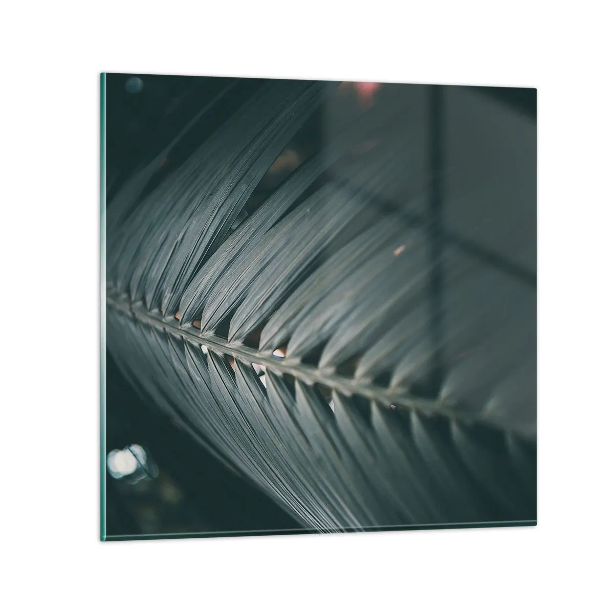 Impression sur verre - Image sur verre - Précision de la nature - 70x70 cm