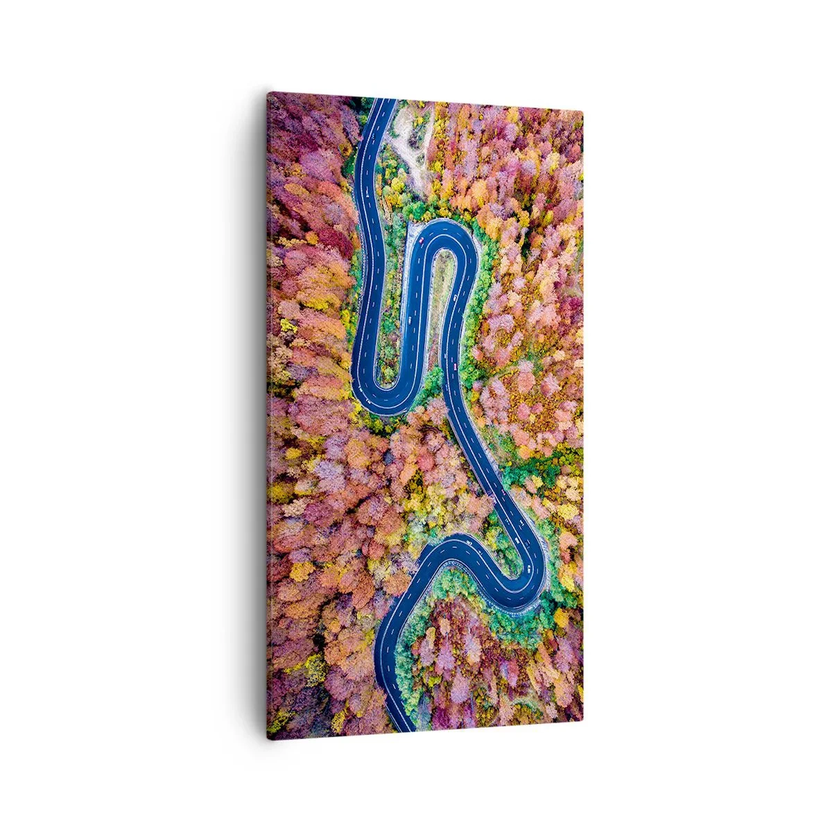 Impression sur toile - Image sur toile - Route sinueuse à travers la forêt - 55x100 cm