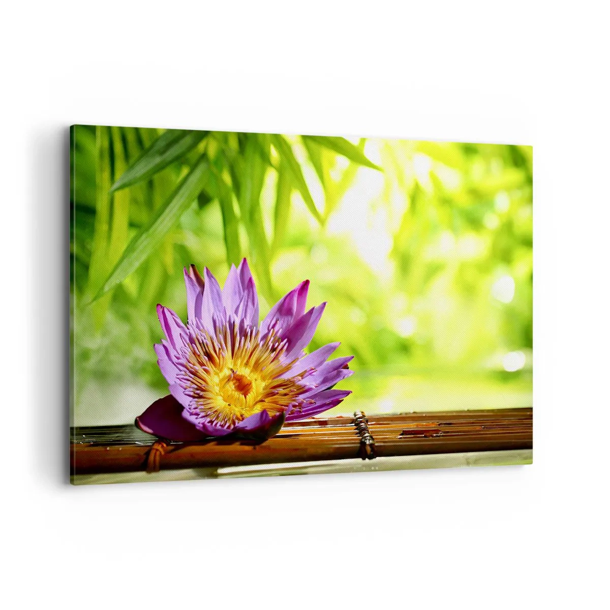 Impression sur toile - Image sur toile - Fleur de lotus violette sur fond de feuilles de bambou vertes - 120x80cm - Sous le soleil asiatique - Décoration murale moderne pour le salon et la chambre ARTTOR
