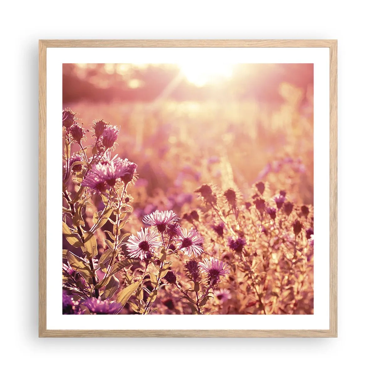 Affiche dans un chêne clair - Poster - Avant que l'été ne parte - 60x60 cm