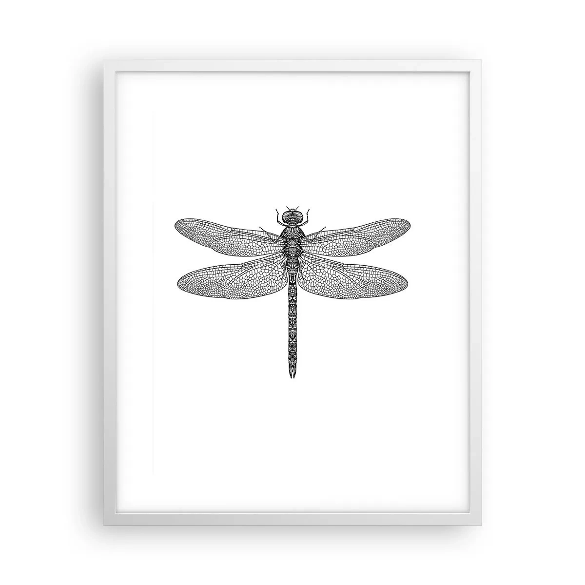 Affiche dans un cadre blanc - Poster - Précision de la nature - 40x50 cm