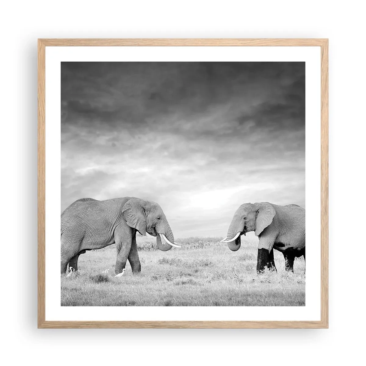 Affiche dans un chêne clair - Poster - Le gris est beau - 60x60 cm