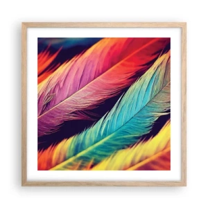 Affiche dans un chêne clair - Poster - Arc-en-ciel de plumes - 50x50 cm