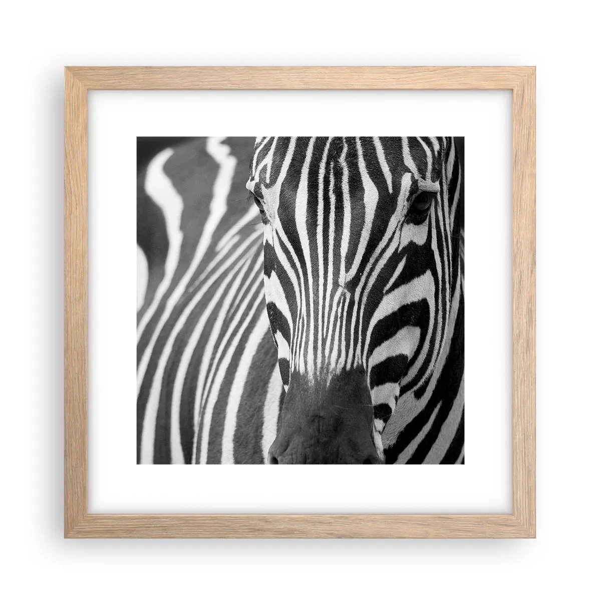 Affiche dans un chêne clair - Poster - Le monde est noir et blanc - 30x30 cm