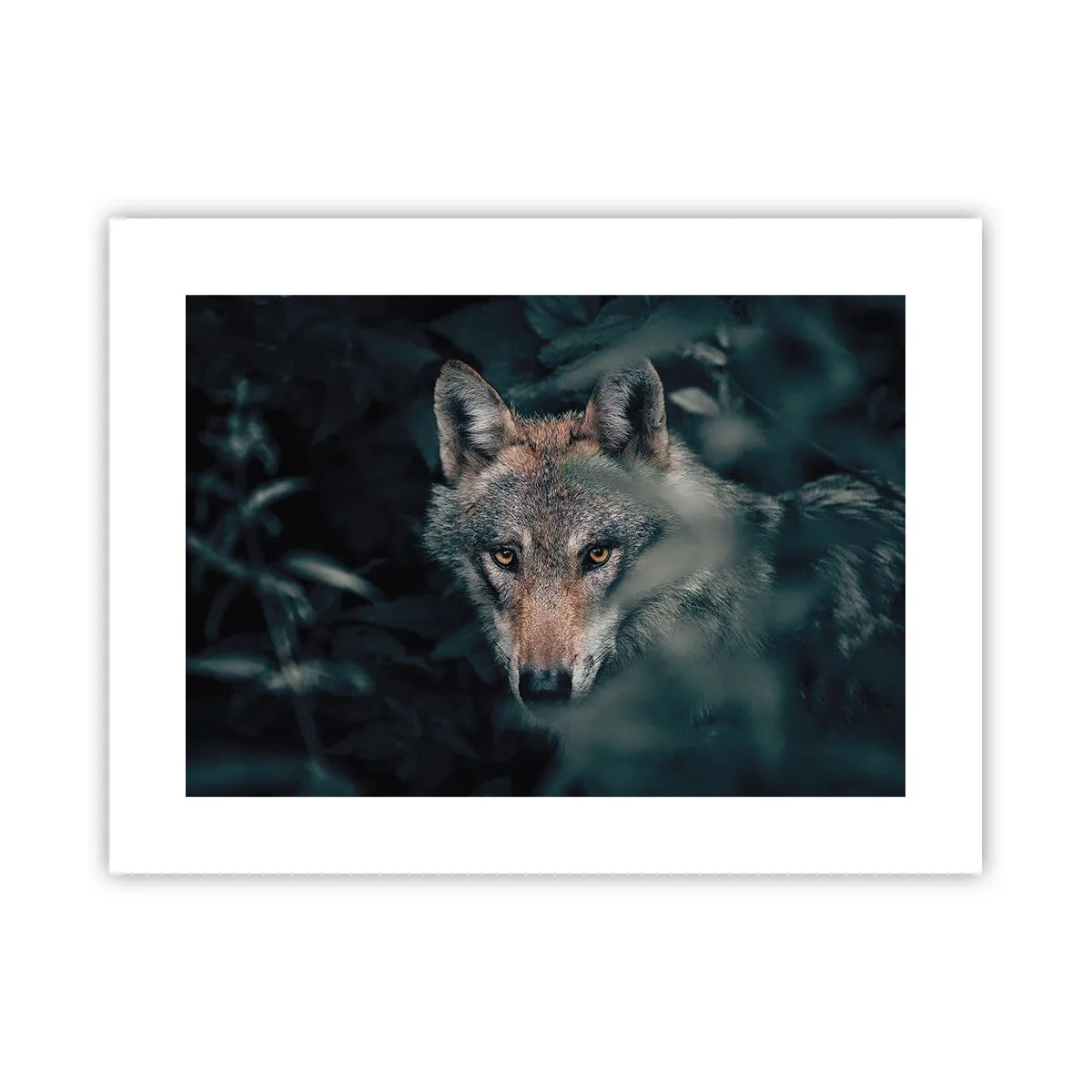 Affiche - Poster - Chasseur - 40x30 cm