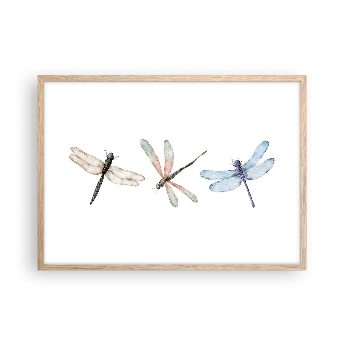 Affiche dans un chêne clair - Poster - Libellules en apesanteur - 70x50 cm