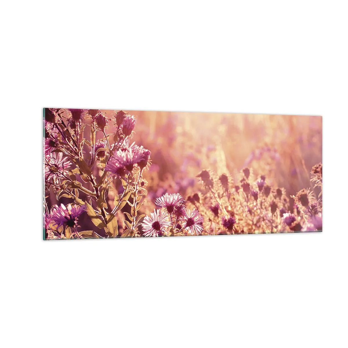 Impression sur verre - Image sur verre - Avant que l'été ne parte - 100x40 cm