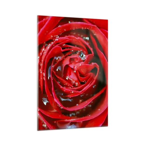Impression sur verre - Image sur verre - Gros plan d'une rose rouge avec des gouttes d'eau sur les pétales - 80x120cm - Dans les gouttes de rosée - Décoration murale moderne pour le salon et la chambre ARTTOR