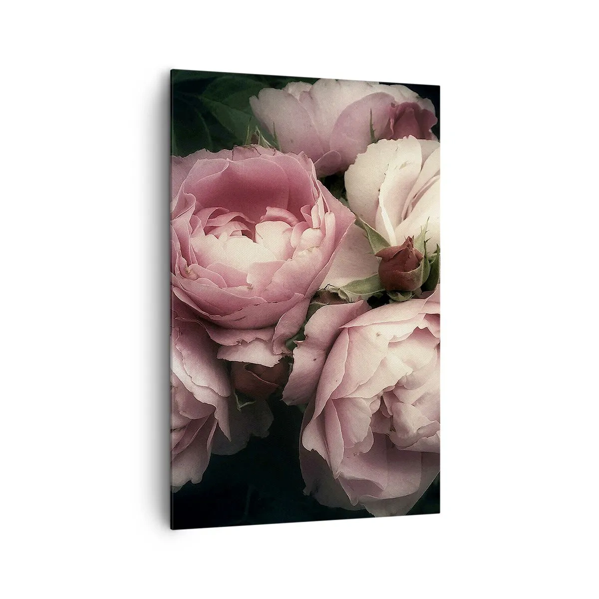 Impression sur toile - Image sur toile - Un bouquet de roses aux tons délicats de rose et de blanc - 80x120cm - Le charme de la belle époque - Décoration murale moderne pour le salon et la chambre ARTTOR