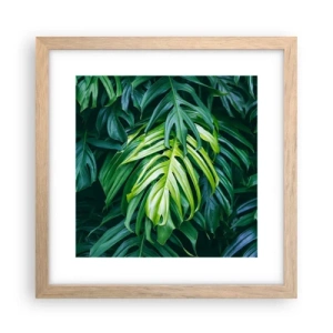 Affiche dans un chêne clair - Poster - Immergez-vous dans la fraîcheur - 30x30 cm