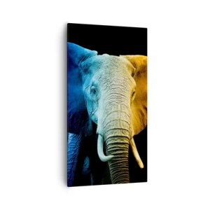 Impression sur toile - Image sur toile - Excentrique, pas bizarre - 55x100 cm