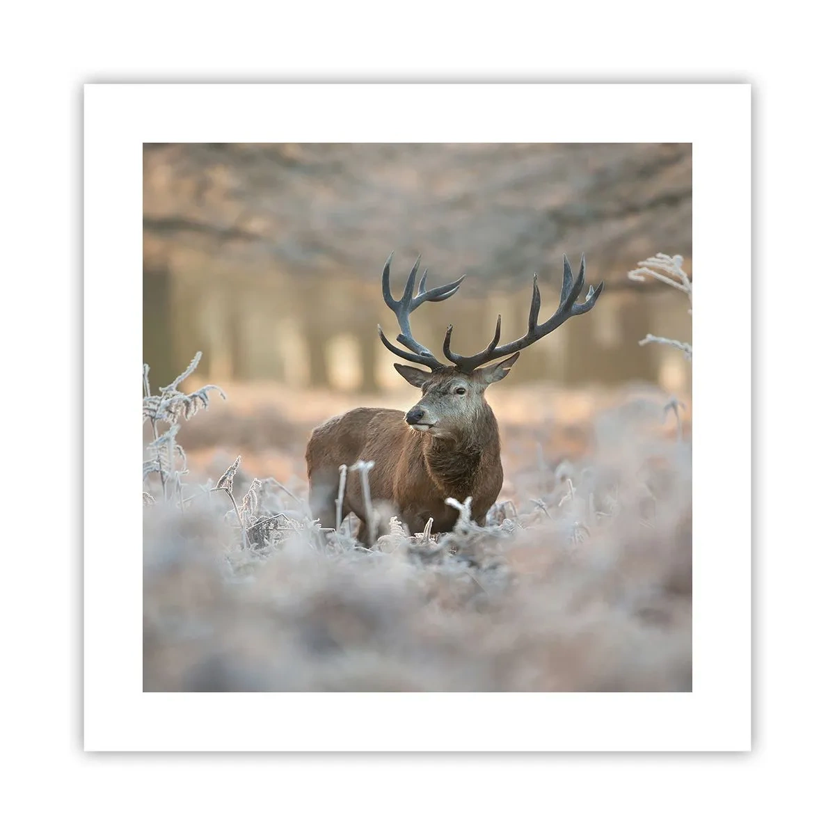 Affiche - Poster - Une matinée animée - 40x40 cm