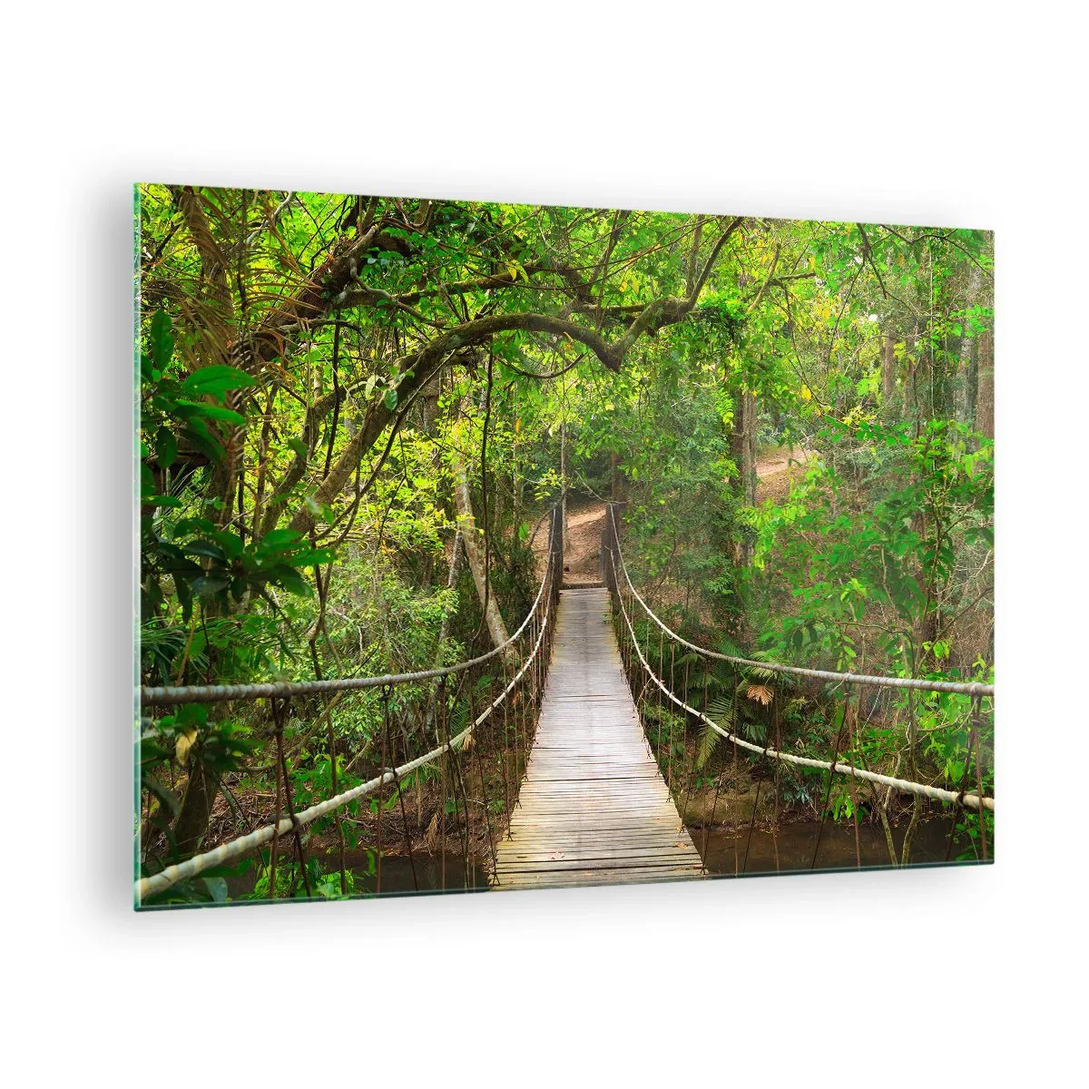 Impression sur verre - Image sur verre - Pont suspendu dans une forêt tropicale - 70x50cm - Parce qu'il y a une plante grimpante dans le jardin - Décoration murale moderne pour le salon et la chambre ARTTOR