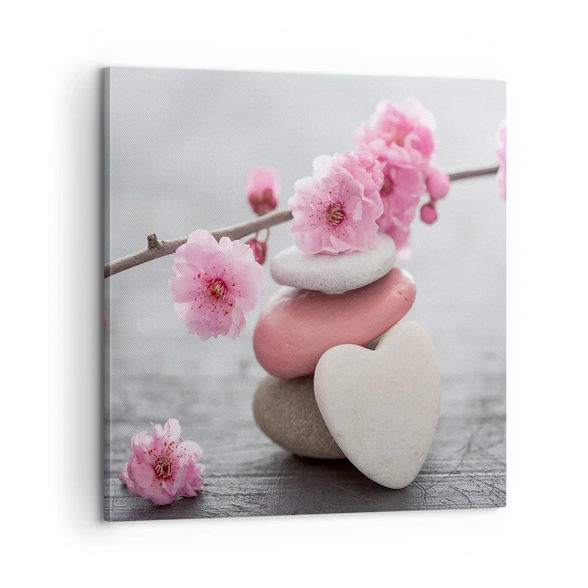 Impression sur toile - Image sur toile - Le bonheur avec une fleur de cerisier - 60x60 cm