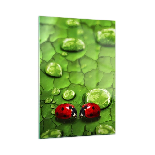 Impression sur verre - Image sur verre - Deux coccinelles sur une feuille verte avec des gouttes d'eau - 50x70cm - Rendez-vous au vert - Décoration murale moderne pour le salon et la chambre ARTTOR