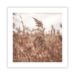 Affiche - Poster - C'est déjà l'automne dans les champs - 40x40 cm