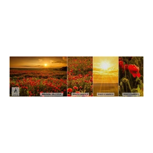 Échantillon de Papier Peint Premium Sand - Parmi les vagues des prairies bruissantes, parmi les fleurs du déluge - Paysage, Fleurs, Coquelicots - 100x30 cm