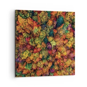 Impression sur toile - Image sur toile - Bouquet d'arbres automnal - 60x60 cm