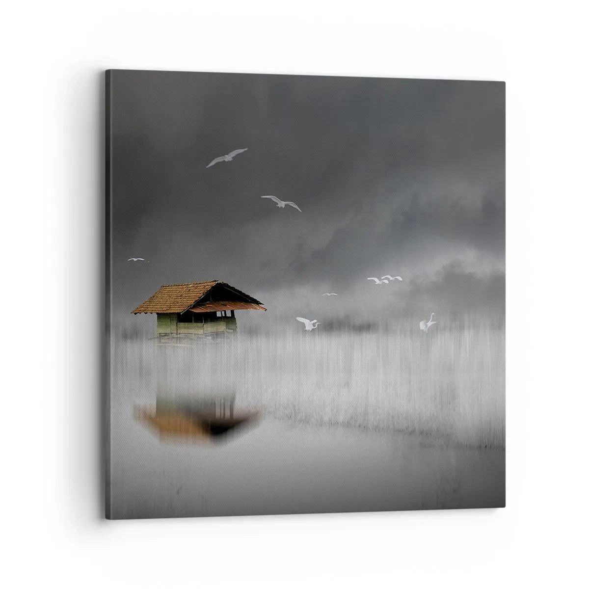 Impression sur toile - Image sur toile - A l'abri de la pluie - 70x70 cm