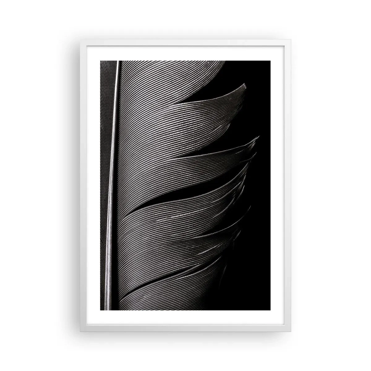 Affiche dans un cadre blanc - Poster - La plume – un design magnifique - 50x70 cm