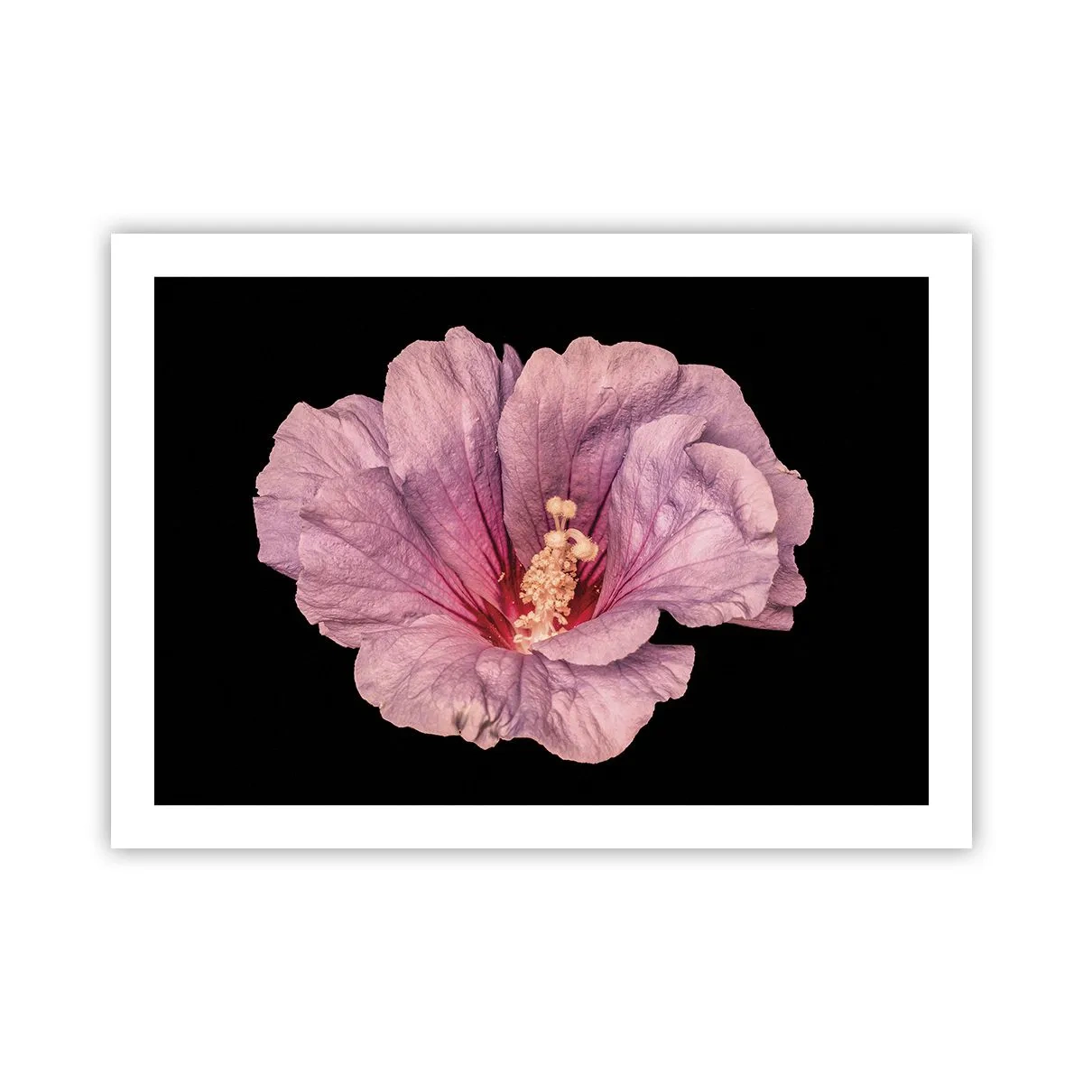 Affiche - Poster - Directement au coeur - 70x50 cm