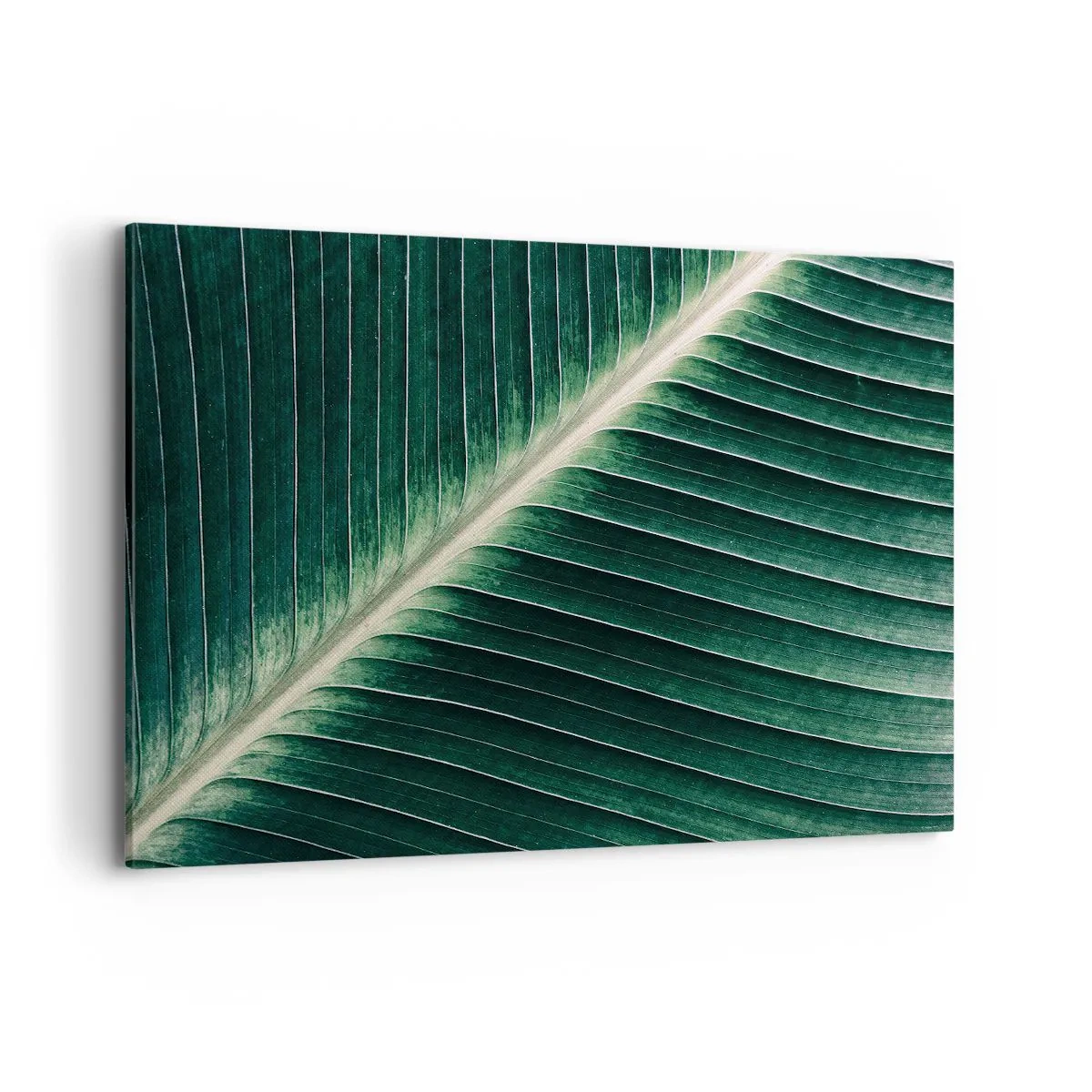 Impression sur toile - Image sur toile - Gros plan de la structure d'une feuille verte - 100x70cm - Le rythme de la nature - Décoration murale moderne pour le salon et la chambre ARTTOR