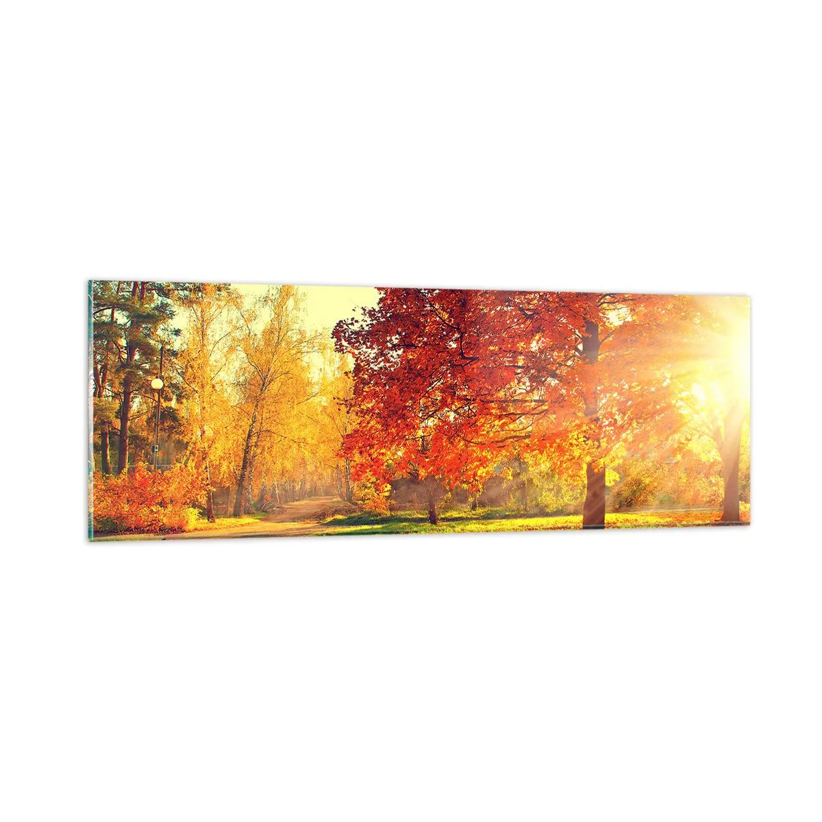 Impression sur verre - Image sur verre - Le roux est beau - 90x30 cm