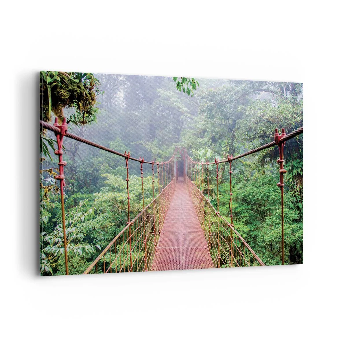 Impression sur toile - Image sur toile - Un pont suspendu dans une jungle tropicale entourée de brouillard - 120x80cm - Suspendu sur les couronnes - Décoration murale moderne pour le salon et la chambre ARTTOR